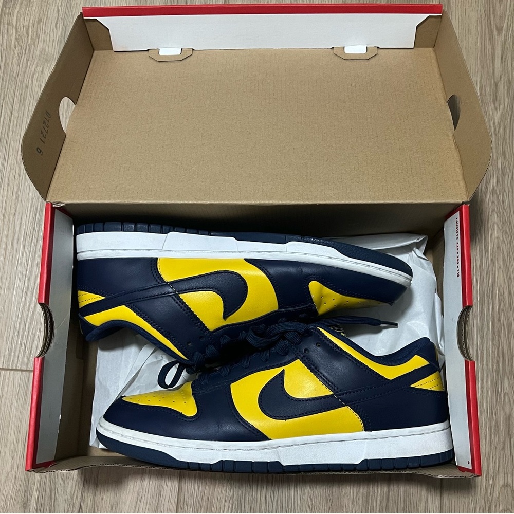 Nike Dunk Michigan Low